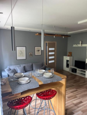 Center Apartment Ventspils in Ventspils
